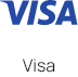 Visa Logo